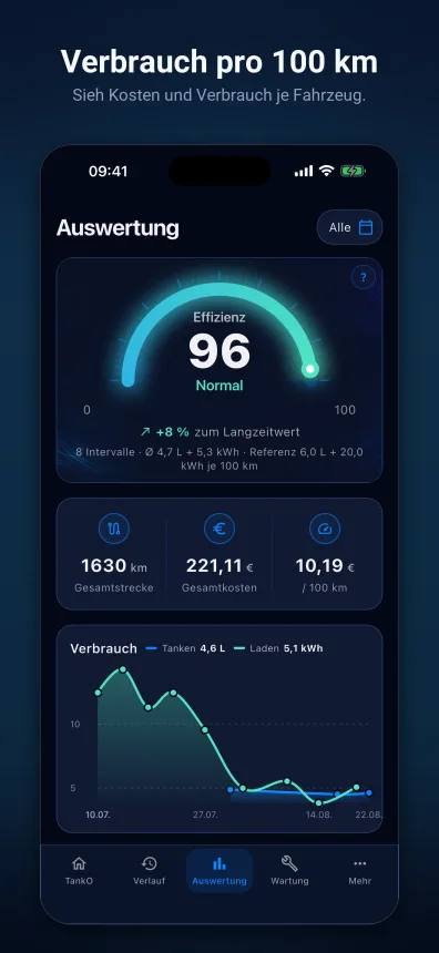 Auswertung mit Effizienz, Kosten und Verbrauch